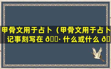 甲骨文用于占卜（甲骨文用于占卜记事刻写在 🌷 什么或什么 💐 上的文字）